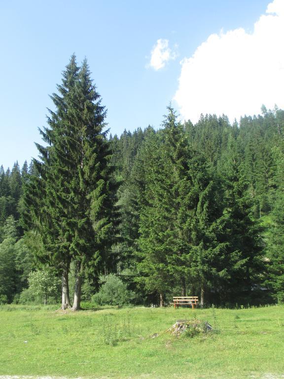 לונגוץ Ferienhaus Schwarzenbacher חדר תמונה